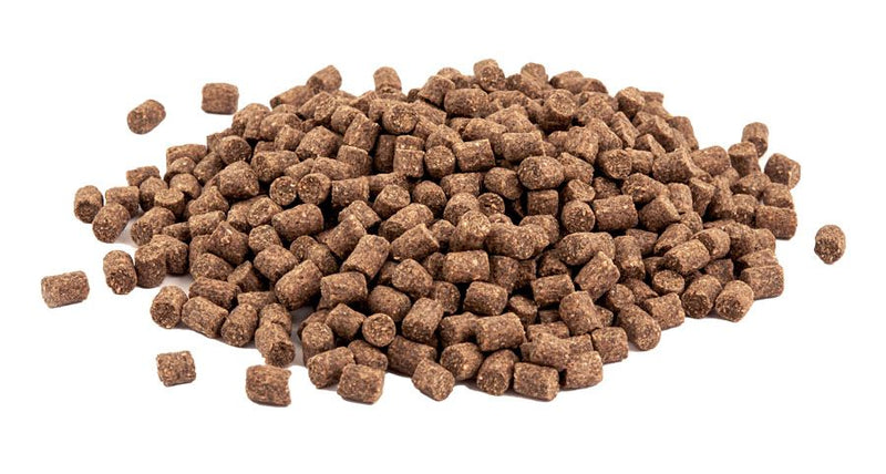 Načtěte obrázek do galerijního prohlížeče, PLT. GNT FEEDER EXP.* CARP &amp; F1 * COARSE * 4mm * 1Kg
